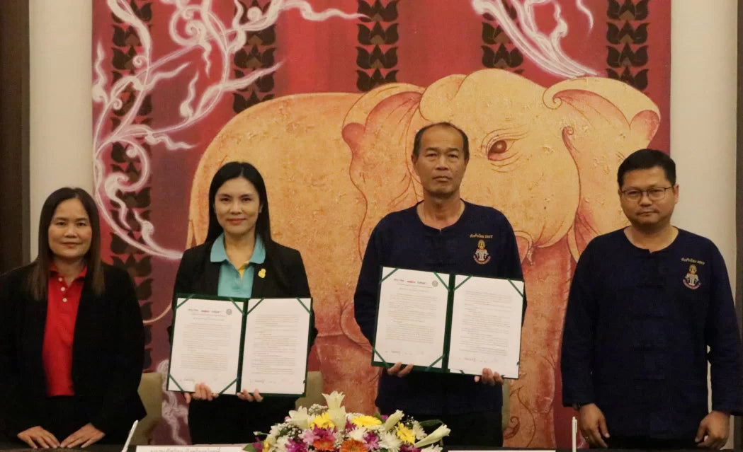 ซีพี แอ็กซ์ตร้าจับมือองค์การอุตสาหกรรมป่าไม้ ส่งมอบอาหารส่วนเกินเพื่อส่งเสริมสวัสดิภาพช้างไทย มุ่งอนุรักษ์ช้างและสิ่งแวดล้อมเพื่อโลกที่ยั่งยืน