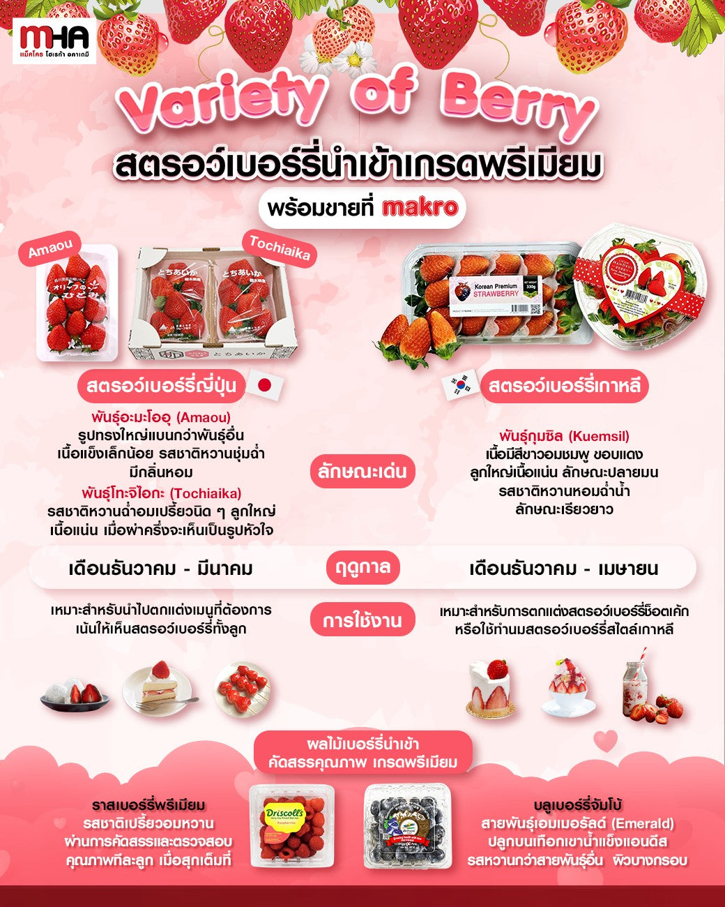 Variety of Berry สตรอว์เบอร์รี่นำเข้าเกรดพรีเมียม พร้อมขายที่ Makro